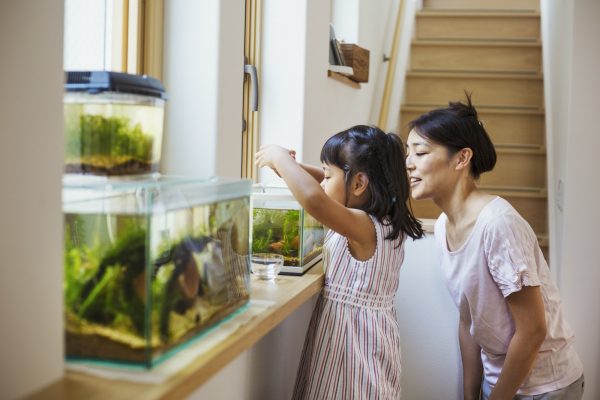 Family home. A mother and daughter looking at the fish in a fish tank on a windowsill.